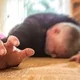 Исцеление эпилепсии